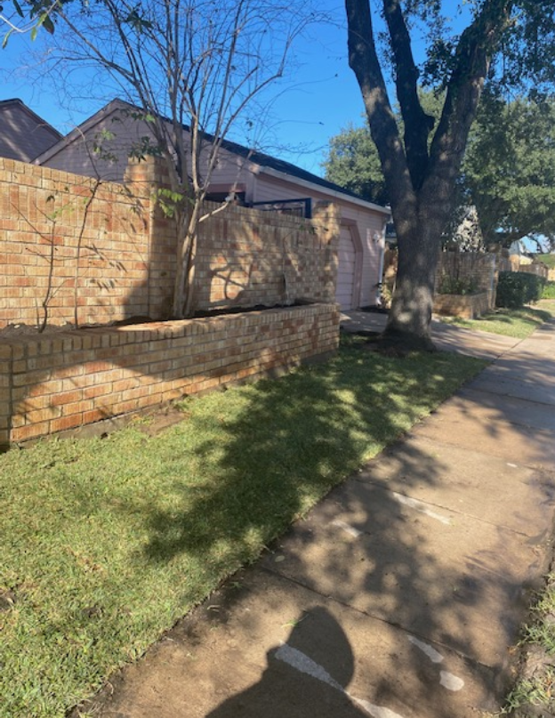 Clean Yard