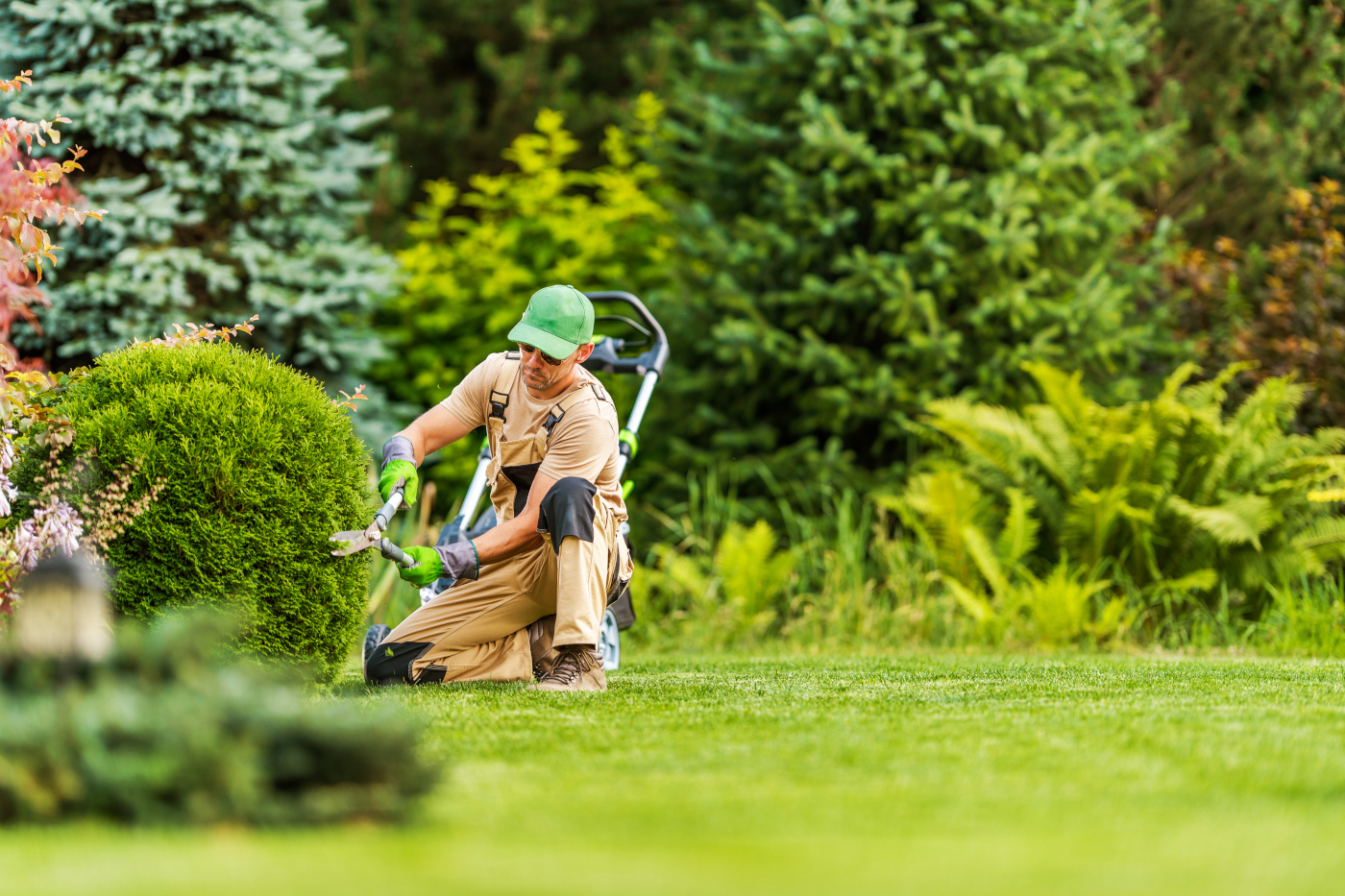 Lawn Mowing