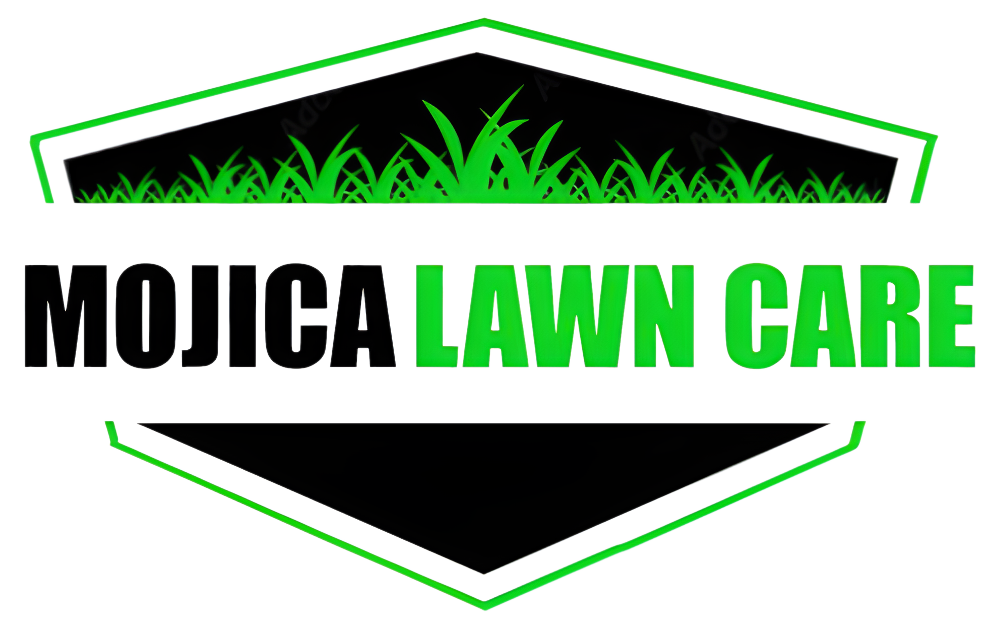 Top Logo